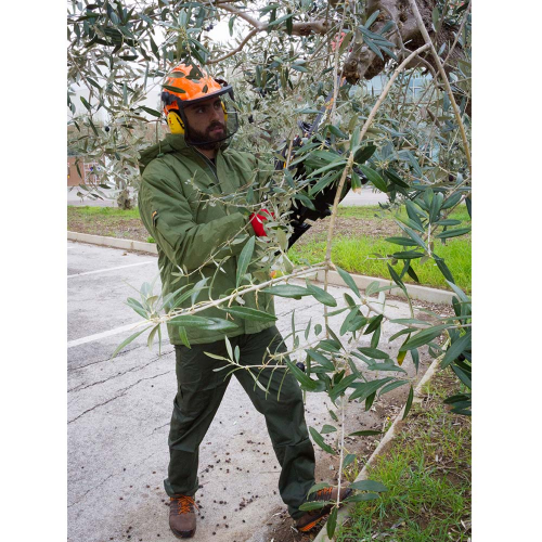 1694010884-agricoltore.png